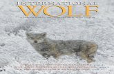 From the Owning Wolf-dog Hybrids Chair of the Board of ... · Should crossing wolves and dogs be encouraged – ... human role in their future. ... Reading books about wolves, ...