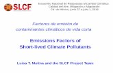 Emissions Factors of Short-lived Climate Pollutants - … · Emissions Factors of Short-lived Climate Pollutants ... RTP, METROBUS, COCA COLA-FEMSA, TURIBUS ... However analysis of