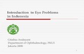 Introduction to Eye Problems in Indonesiastaff.ui.ac.id/system/files/users/gitalisa71/material/intromasalah... · Introduction to Eye Problems in Indonesia Gitalisa Andayani G ...