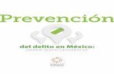 ¿DÓNDE QUEDÓ LA EVIDENCIA? - México Evalúamexicoevalua.org/wp-content/uploads/2014/01/donde_quedo_la... · American Sociological Review 49, 283-9. World Health Organization (2010),