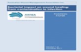 Bacterial impact on wound healing: From contamination to infection€¦ ·  · 2016-11-25Bacterial impact on wound healing: From contamination to infection ... The effect of bacteria