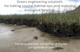 Green engineering solutions for halting coastal habitat ... · Green engineering solutions for halting coastal habitat loss and restoring ecological function Christine Angelini, University