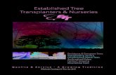 Established Tree Transplanters & Nurseries · Established Tree Transplanters & Nurseries ... platanoides ‘Crimson Sentry ... Canadian Maple rubrum ‘Franksred’ rubrum ‘October