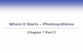 Where It Starts Photosynthesis - Del Mar Collegedmc122011.delmar.edu/nsci/biology/faculty/brower/powerLectures/ch7/... · Where It Starts –Photosynthesis Chapter 7 Part 2. 7.6 Light-Independent