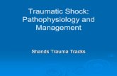 Traumatic Shock: Pathophysiology and Management · Goals/Objectives ¾ Review Shock and Types of Shock ¾ Review Mechanisms/Features of Hypovolemic Shock and Physiologic Response