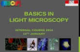 EPFL SV PTBIOP BASICS IN LIGHT MICROSCOPY · Hal lamp stageaperture condenser Hg lamp ... Change in illumination and imaging parts do ... YOUNG: DOUBLE SLIT EXPERIMENT