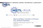 Heat and Mass Transfer in Porous CO2 Sorbent Particles · Heat and Mass Transfer in Porous CO 2 Sorbent Particles Nagendra Krishnamurthy, Danesh K. Tafti HPCFD Lab Mechanical Engg.