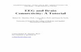 EEG and Brain Connectivity: A Tutorial - bio-medical.com · Table of Contents 1 – Introduction 2- EEG Amplitude 3- What is Volume Conduction and Connectivity? 4- How is network