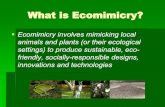 What is Ecomimicry? · What is Ecomimicry? ... BIO-UTILIZATION, acquire the product/producer BIO-ASSISTED, Domesticate the Producer BIOMIMICRY, mimic the producer .