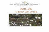 DURIAN PRODUCTION GUIDE - bpi.da.gov.phbpi.da.gov.ph/bpi/images/Production_guide/Word...  · Web viewTie the branches upward to the main trunk or to an external support such as wire