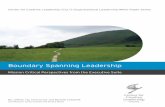 Boundary Spanning Leadershipchrisernst.s481.sureserver.com/.../07/BoundarySpanningLeadership.pdfBoundary Spanning Leadership ... Organizations by Chris Ernst and Donna-Chrobot Mason.