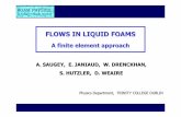 FLOWS IN LIQUID FOAMS - School of Mathematics : Trinity ...foams/PRESENTATIONS/Thursday19/Thrursday19... · FLOWS IN LIQUID FOAMS A finite element approach ... –Couette flow under