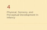 Physical, Sensory, and Perceptual Development In Infancy 4.pdf · Infant’s ability to sense color almost identical to ... Touch and Motion ... differs Information from ...