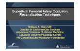 Superficial Femoral Artery Occlusion: Recanalization ...summitmd.com/pdf/pdf/1259_SFA CTO techniques ACC 2010.pdf · Columbia University Medical Center The Cardiovascular Research