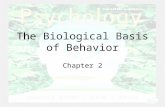 Chapter 2 - Biological Basis of Behavior - Pearson Educationwps.prenhall.com/wps/media/objects/1349… · PPT file · Web view · 2004-05-21The Biological Basis of Behavior Chapter