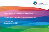 DSM Resins & Functional Materials · Strategic Progress in DSM Resins & Functional Materials • Cost reductions ... faster and cost effective production ... with the clear shift