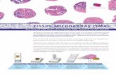 TISSUE MICROARRAY (TMA) - 3DHISTECH Ltd · With several TMA systems installed worldwide in pathology departments at hospitals, bio-banks and research institutes, we are the leaders