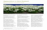 Agapanthus in New Zealand€¦ ·  · 2014-07-20from it (Appendix 1). The evergreen, perennial growth ... Agapanthus in New Zealand. ... Opito Bay on the Coromandel Peninsula. A,