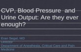 CVP Blood PrCVP, Blood Prressure andressure and Urine ... · CVP Blood PrCVP, Blood Pr Urine Output:Urine Output: enough? Eran Segal, MD Di tDirector Department of Anesthesia, Medicine