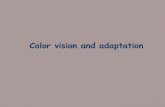 Vision Lecture 6 Notes: Color vision and adaptation · Central questions about color vision and adaptation: ... Dynamic computer test (City University Dynamic Color Vision Test) 40.
