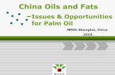 Issues & Opportunities for Palm Oil Analysis Background Information Traditional Sectors –Key Food Industries Issues in Palm Oil Industry in China - Product Classification (HS Code)