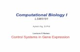 Lecture 6 Notes: Control Systems in Gene Expression Control... · Computational Biology I LSM5191. Aylwin Ng, D.Phil. Lecture 6 Notes: Control Systems in Gene Expression