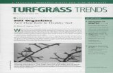 AGRONOMY Soil Organisms And Their Role In Healthy …archive.lib.msu.edu/tic/tgtre/article/1998aug1a.pdfAnd Their Role In Healthy Turf By Elaine R. Ingham, ... Arbuscular Mycorrhizae
