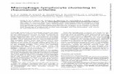 Macrophage-lymphocyte clustering in rheumatoid arthritisard.bmj.com/content/annrheumdis/34/1/38.full.pdf · whowereable to showthat antigencanbeidentified ... MICROSCOPE After fixation