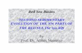 Red Sea Basins - South Valley University Sea Basins TECTONO-SEDIMENTARY ... not limited to local tectonic adjustment; not only does it affect both the axial and ... structural movements
