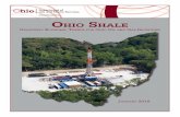 OhiO Shale - ohiolmi.comohiolmi.com/OhioShale/Ohio Shale Report_2Q_2017.pdfOhio Shale-Related Online Job Postings ... 2111** Oil and gas extraction 197 2,887 132 1,078 -65 -1,809 213111