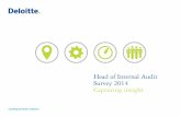 Head of Internal Audit Survey 2014 Capturing insight · Leading business advisers Head of Internal Audit Survey 2014 Capturing insight “