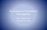 Evaluation of Peripheral Neuropathy - ctafp.org of Peripheral Neuropathy IN GENERAL symptoms of neuropathy in adults include paresthesias (sensory loss, tingling, burning) and/or clumsiness