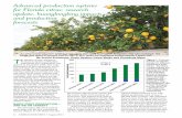 Advanced production systems for Florida citrus: research ... · Production System (APS) field experiment near Auburndale was planted in December 2008. ... centage HLB incidence in