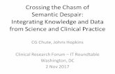 Crossing the Chasm of Semantic Despair: Integrating ... the Chasm of Semantic Despair: Integrating Knowledge and Data from Science and Clinical Practice CG Chute, Johns Hopkins Clinical