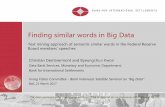 Finding similar words in Big Data - Bank for International ... · •All codes are written in Python language and are ... GENSIM. Scrapping; BEAUTIFULSOUP. Web Server; FLASK. Source