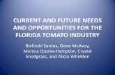 CURRENT AND FUTURE NEEDS AND OPPORTUNITIES FOR …swfrec.ifas.ufl.edu/docs/pdf/veg-hort/tomato-institute/... · CURRENT AND FUTURE NEEDS AND OPPORTUNITIES FOR THE FLORIDA TOMATO INDUSTRY