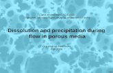 Dissolution and precipitation during flow in porous mediaeicken/he_teach/ppt/G692PPDissPrecipPM.pdf · Class project for GEOS 692: ... • Influence flow patterns and chemistry within