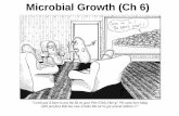 Microbial Growth (Ch 6) - faculty.mtsac.edufaculty.mtsac.edu/cbriggs/Microbial Growth revFA16.pdf · Microbial Growth (Ch 6) Figure 6.1 ... microbial deaths ... Death Phase . Population