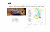 Priority Conservation Areas and Vision for Biodiversity ... · Priority Conservation Areas and Vision for Biodiversity Conservation Summary Lake Malawi-Niassa-Nyssa is a large, long