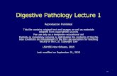 Digestive Pathology Lecture 1 - School of Medicinemedschool.lsuhsc.edu/pathology/cytopathology/digestive/PP_lectrue_1...– Plummer Vinson syndrome 4. Achalasia 5. ... Nutcracker esophagus