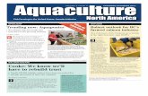 SPOTLIGHT OUTLOOK Trending now: Aquaponics … aquaponics is not necessarily a new technology, the industry is relatively young compared to more established food production methods.