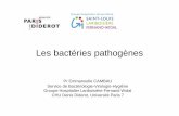 Les bactéries pathogènes - L3 Bichat 2013-2014 - indexl3bichat2013-2014.weebly.com/uploads/1/3/9/0/1390542… ·  · 2014-02-09Classification fonctionnelle des bactéries Exemples