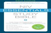 BiBle Sampler - NIV · as the source of creation (see Ps 33:6,9; ... 4 Genesis 1:24 history people ... Egyptian creation myths tend to assert that a primordial mound or