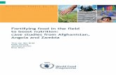 Fortifying food in the field to boost nutrition: case ... · Fortifying food in the field to boost nutrition: case studies from Afghanistan, Angola and Zambia 5 provided by MI. The