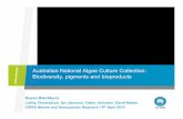 Australian National Algae Culture Collection: Biodiversity ... · Australian National Algae Culture Collection: Biodiversity, pigments and bioproducts ... • chemotaxonomy ... Algal