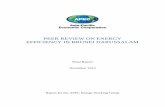 Final Report November 2013 Review...Final Report November 2013 Report for the APEC Energy Working Group ii TABLE OF CONTENTS Table of Contents ii Preface iv Executive Summary v Recommendations
