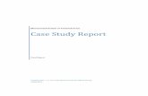 RC-1572 - Case Study Report - State of Michigan Study Report Final Report ... Speed data ... the improvements that consisted more of a series of spot improvements showed mixed results.