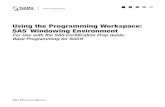Using the Programming Workspace: SAS(R) Windowing …wguo/Math707ST_2013/SAS_WindowEnvironment… · Using the Programming Workspace: SAS ® Windowing Environment For Use with the