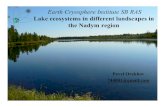 Earth Cryosphere Institute SB RAS - Geobotany · Earth Cryosphere Institute SB RAS Lake ecosystems in different landscapes in the Nadym region Pavel Orekhov 744001@gmail.com