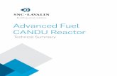 Advanced Fuel CANDU Reactor - Home | SNC-Lavalin Advanced Fuel CANDU Reactor (AFCR ) is a Generation III advanced fuel-efficient 740 MWe-class Pressurized Heavy Water Reactor developed